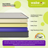 PureLuxe Latex Mattress In Blue and Green