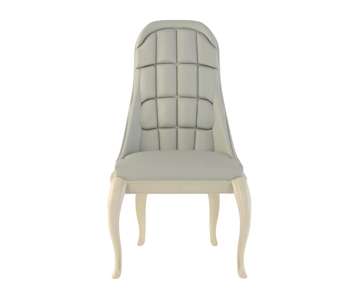 Vexal Luxury High Back Upholstered Dining Chair Set of 2