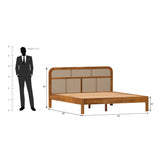 Pulse Mango wood Bed Without Box Storage in Maharani color Colour