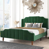 Nexus Upholstered Bed in green Colour Without Box Storage