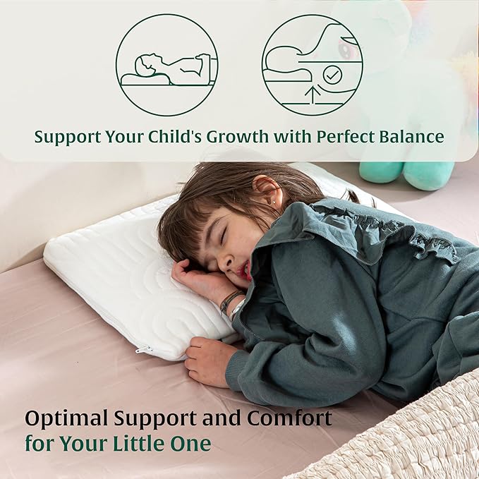 Ultra Slim Pillow