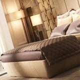 Woodlyn Upholstered Bed in beige Colour With Box Storage