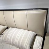 Dreamscape Upholstered Bed in Beige Colour With Box Storage